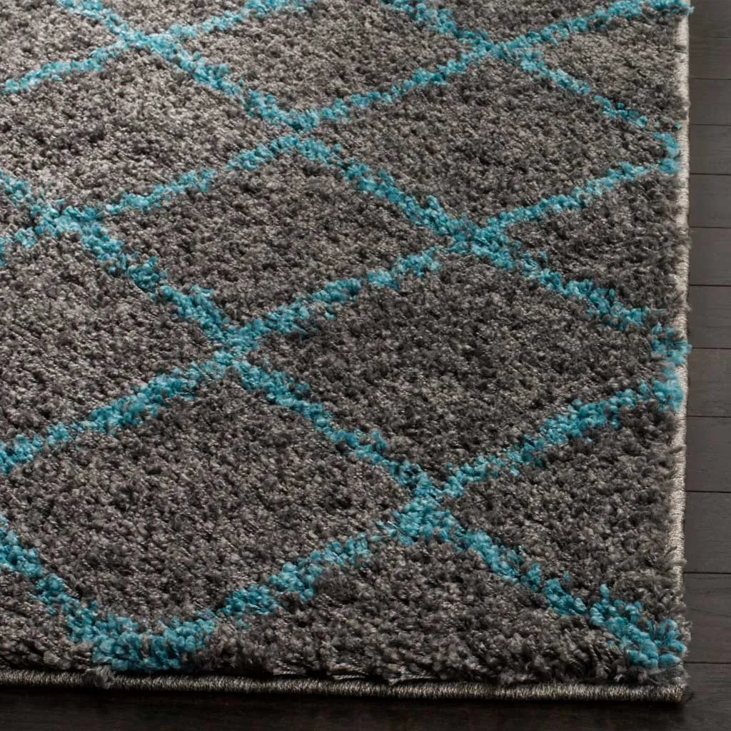 Arizona Shag Gray/Turquoise Area Rug