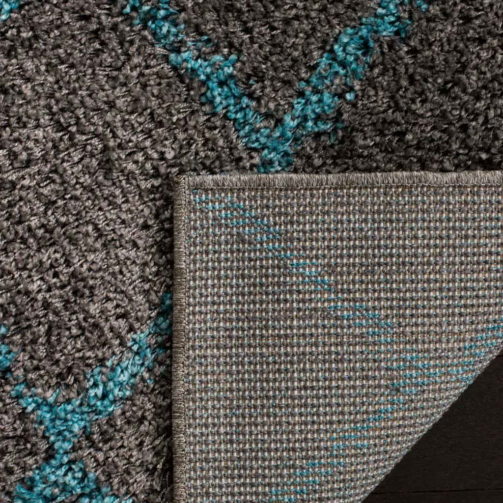 Arizona Shag Gray/Turquoise Area Rug