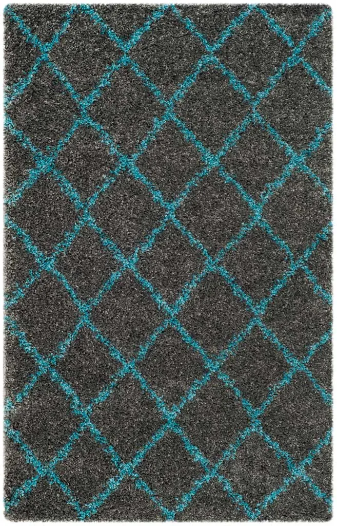 Arizona Shag Gray/Turquoise Area Rug