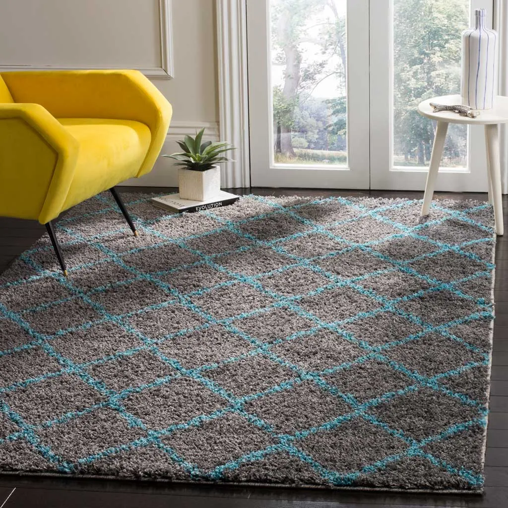 Arizona Shag Gray/Turquoise Area Rug