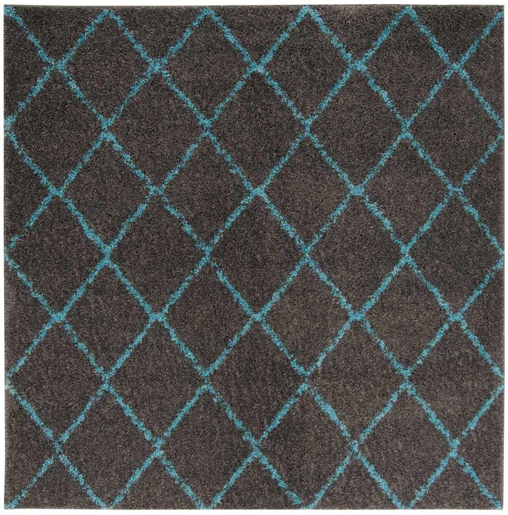 Arizona Shag Gray/Turquoise Area Rug